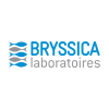 bryssica